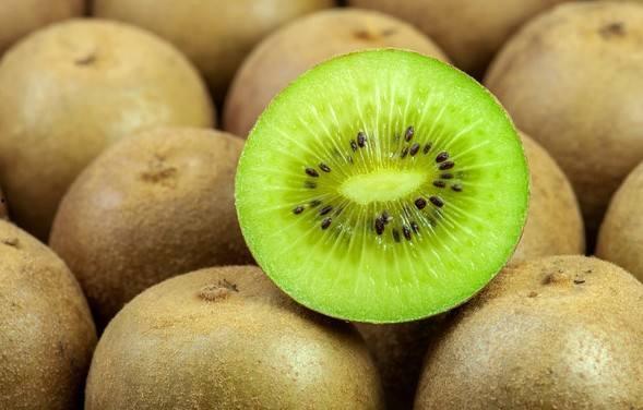 猕猴桃爆料新闻视频播放,揭秘猕猴桃产业最新动态  第1张