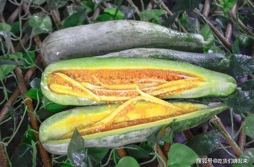 网红陈妮妮吃瓜图片,网红美食生活大揭秘